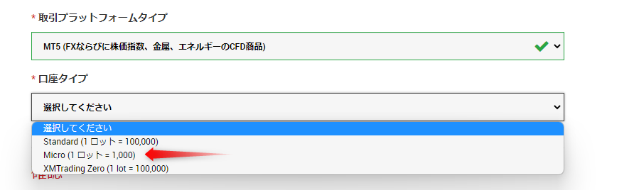 マイクロ口座を選択